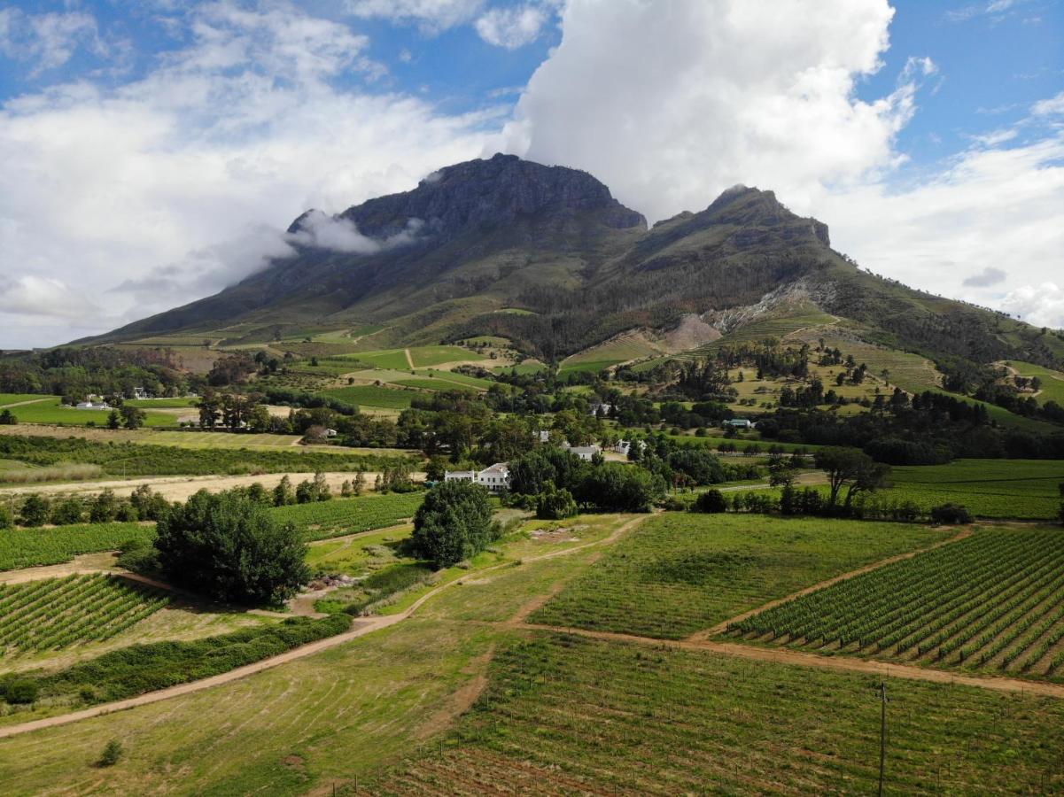 Le Pommier Wine Estate Villa Stellenbosch Ngoại thất bức ảnh