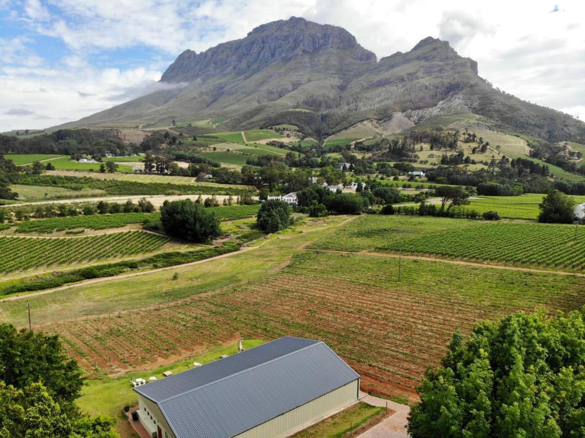Le Pommier Wine Estate Villa Stellenbosch Ngoại thất bức ảnh