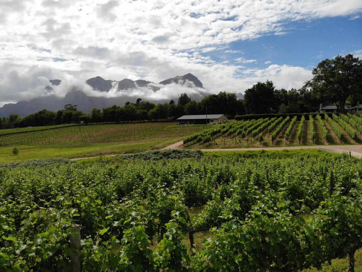 Le Pommier Wine Estate Villa Stellenbosch Ngoại thất bức ảnh
