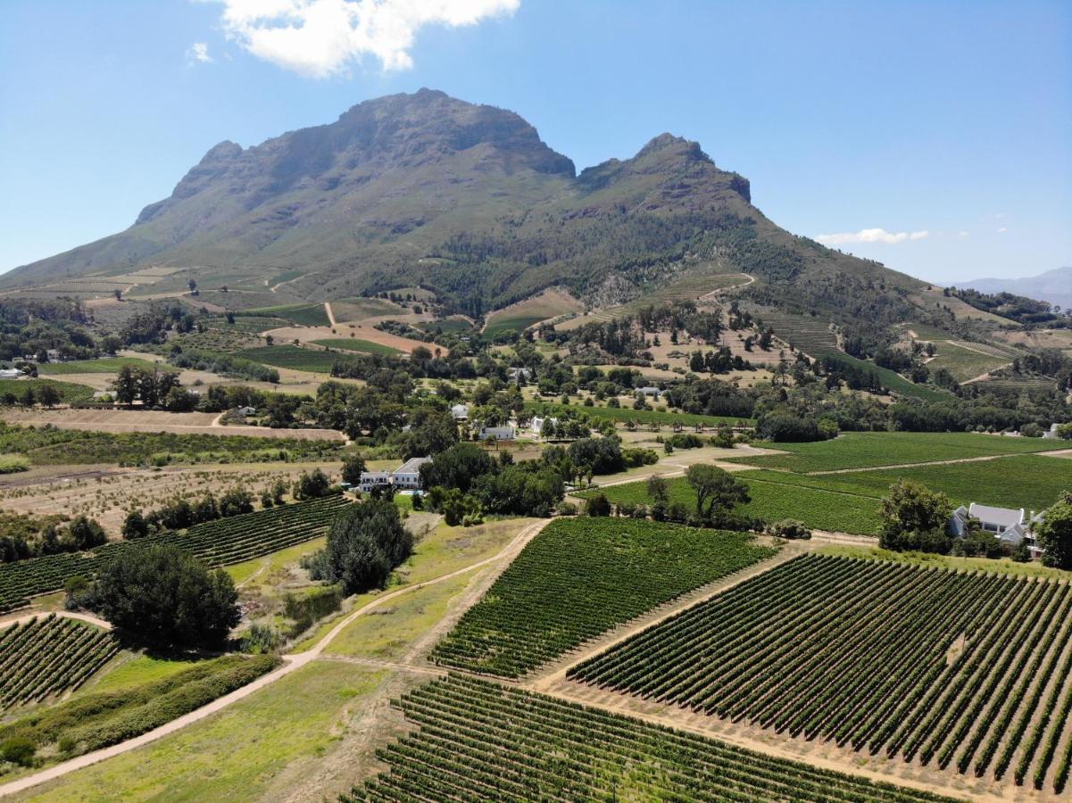 Le Pommier Wine Estate Villa Stellenbosch Ngoại thất bức ảnh