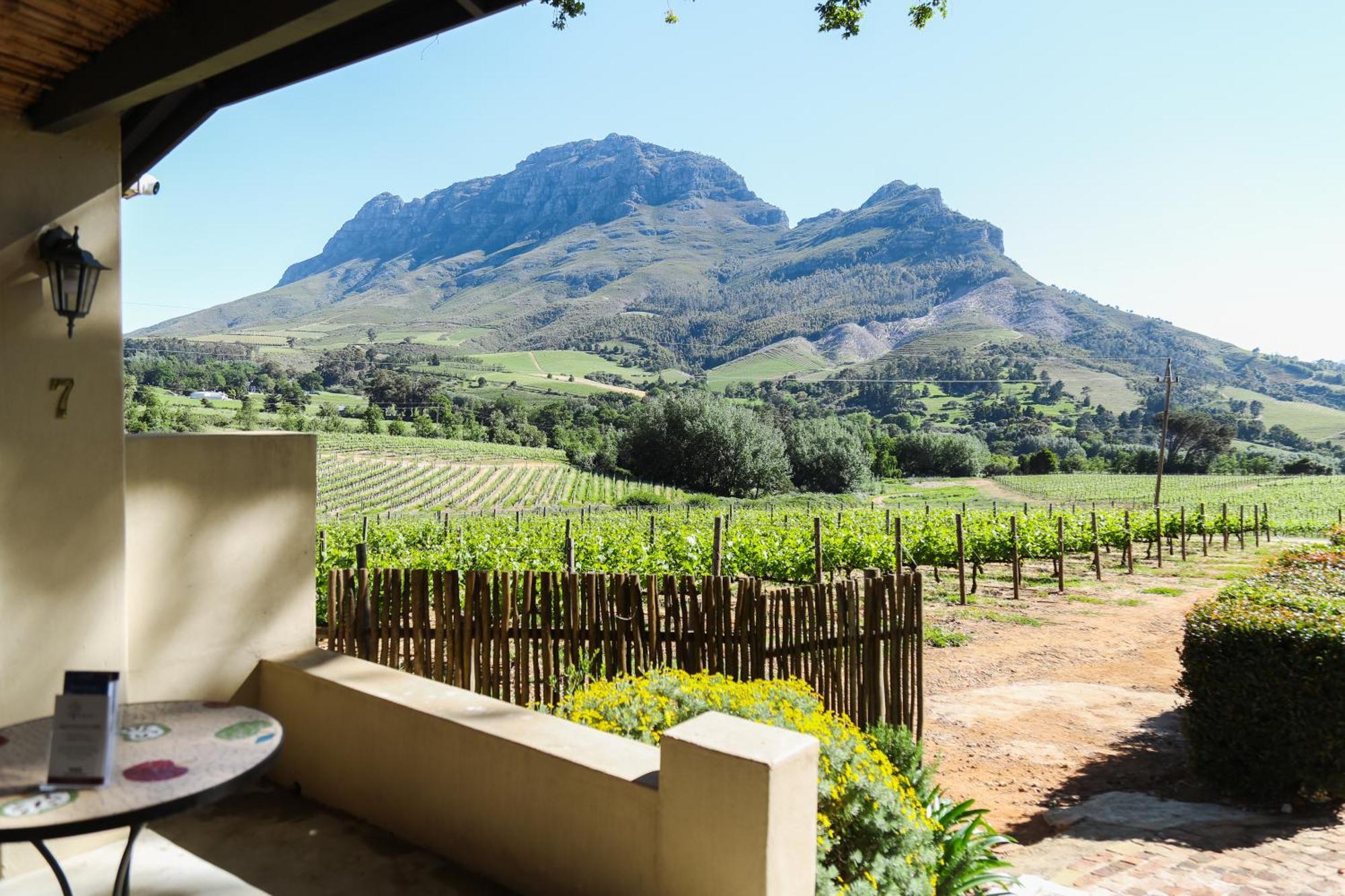 Le Pommier Wine Estate Villa Stellenbosch Ngoại thất bức ảnh