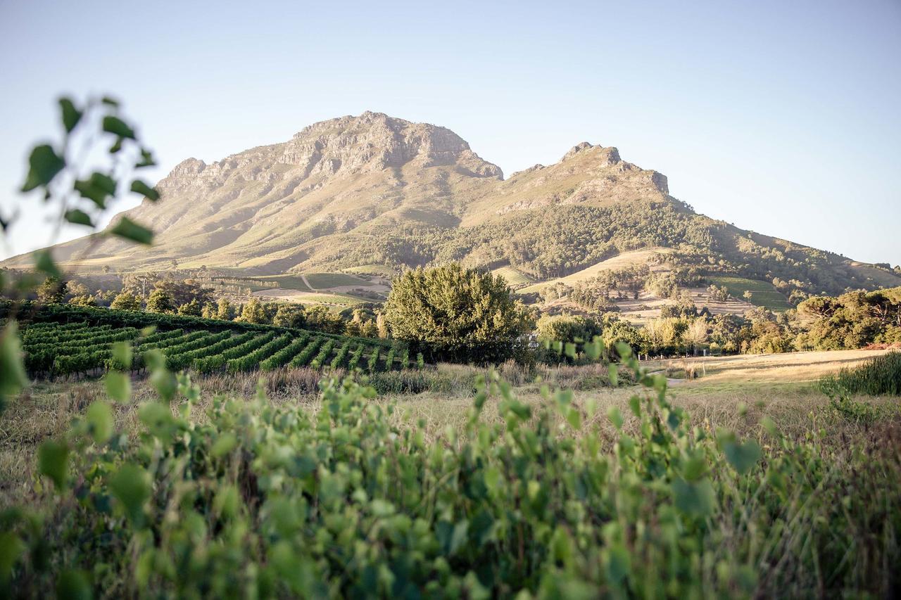Le Pommier Wine Estate Villa Stellenbosch Ngoại thất bức ảnh