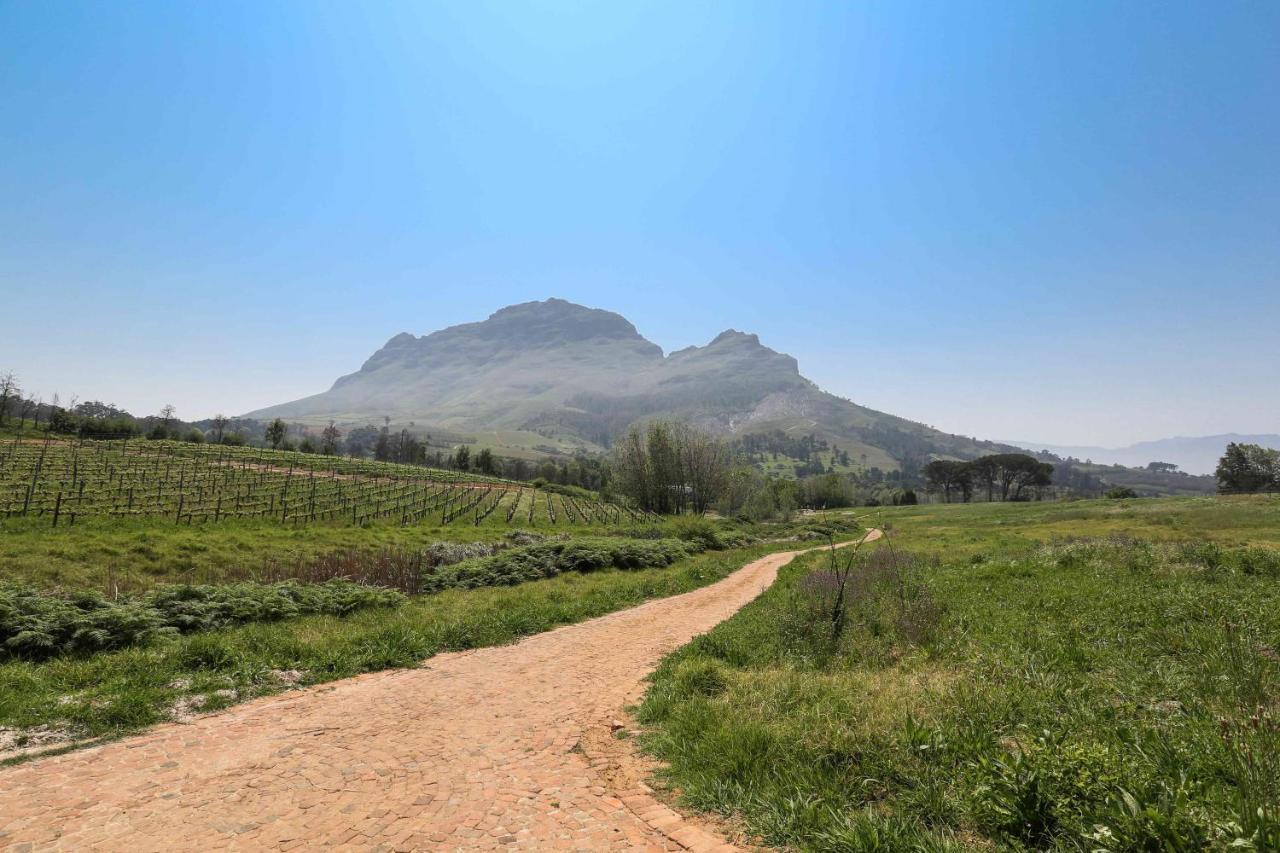 Le Pommier Wine Estate Villa Stellenbosch Ngoại thất bức ảnh